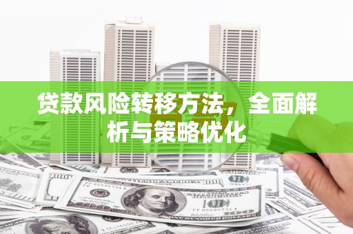 精河贷款风险转移方法，全面解析与策略优化