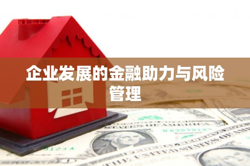 精河企业发展的金融助力与风险管理