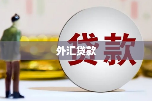 精河外汇贷款