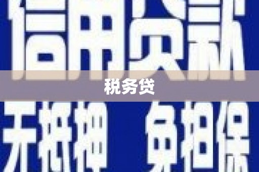 精河税务贷