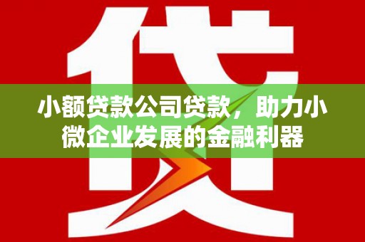 精河小额贷款公司贷款，助力小微企业发展的金融利器