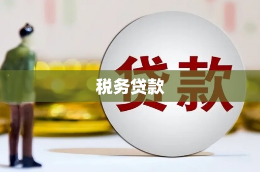 精河税务贷款