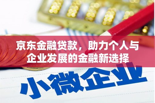 精河京东金融贷款，助力个人与企业发展的金融新选择