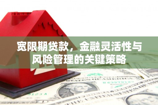 精河宽限期贷款，金融灵活性与风险管理的关键策略