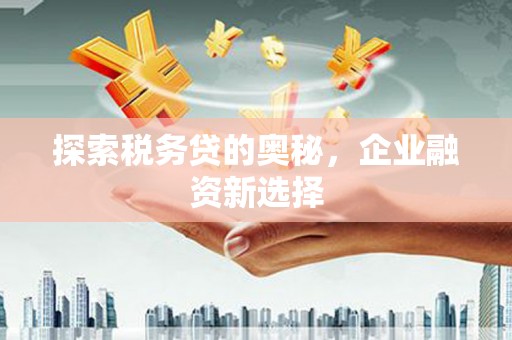 精河探索税务贷的奥秘，企业融资新选择
