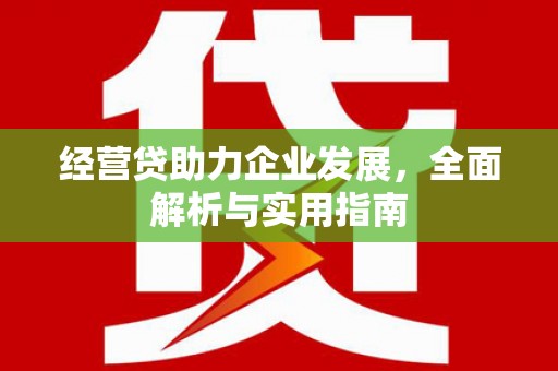 精河经营贷助力企业发展，全面解析与实用指南