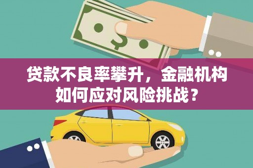 精河贷款不良率攀升，金融机构如何应对风险挑战？