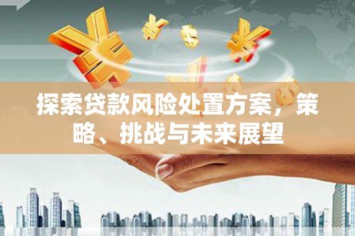 精河探索贷款风险处置方案，策略、挑战与未来展望