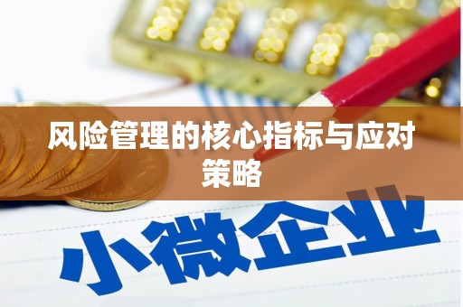 精河风险管理的核心指标与应对策略