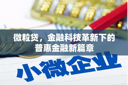 精河微粒贷，金融科技革新下的普惠金融新篇章