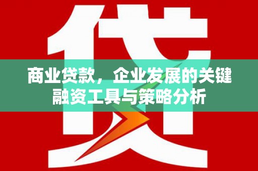 精河商业贷款，企业发展的关键融资工具与策略分析