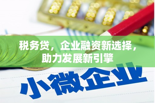 精河税务贷，企业融资新选择，助力发展新引擎