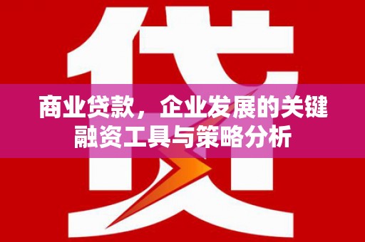 精河商业贷款，企业发展的关键融资工具与策略分析