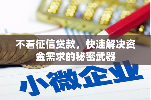 精河不看征信贷款，快速解决资金需求的秘密武器
