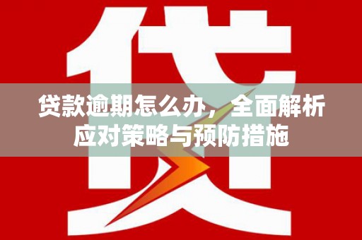 精河贷款逾期怎么办，全面解析应对策略与预防措施