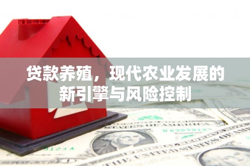 精河贷款养殖，现代农业发展的新引擎与风险控制