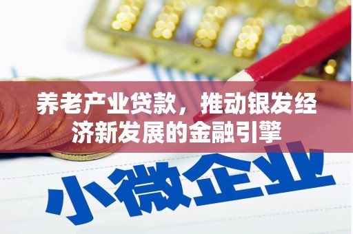精河养老产业贷款，推动银发经济新发展的金融引擎