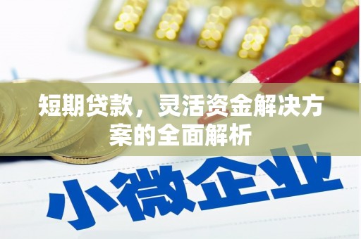 精河短期贷款，灵活资金解决方案的全面解析
