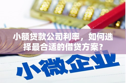 精河小额贷款公司利率，如何选择最合适的借贷方案？