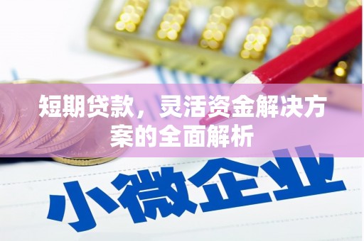 精河短期贷款，灵活资金解决方案的全面解析