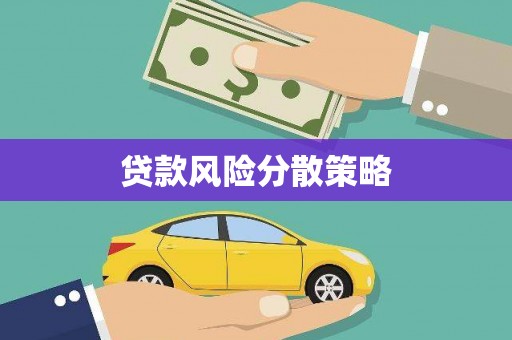 精河贷款风险分散策略