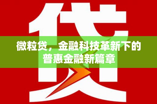 精河微粒贷，金融科技革新下的普惠金融新篇章