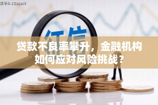 精河贷款不良率攀升，金融机构如何应对风险挑战？