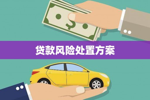 精河贷款风险处置方案